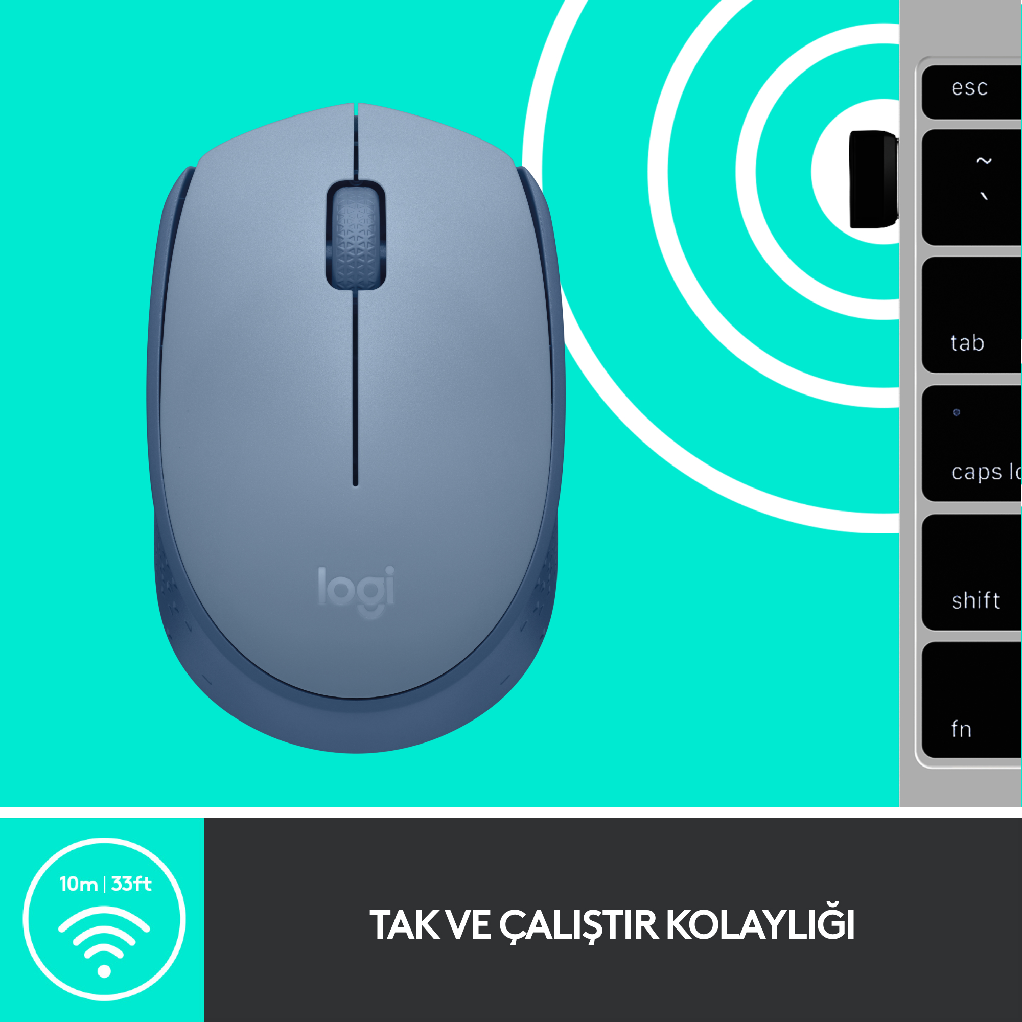 Turkuaz arka plan üzerinde mavi bir Logitech fare. Farenin kaydırma tekerleği var.