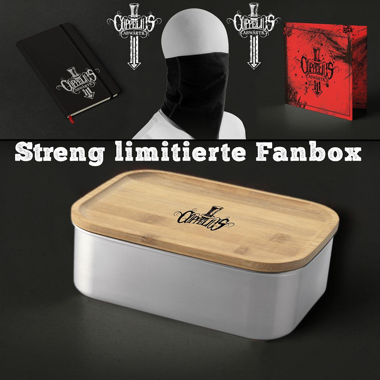 Fanbox mit weißer Box und Bambusdeckel. Enthält Notizbuch, Gesichtsbedeckung und ein Buch.