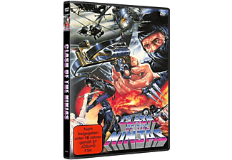 Clash Of The Ninjas [DVD]