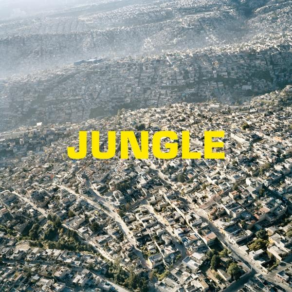 The Blaze Jungle - - (CD)
