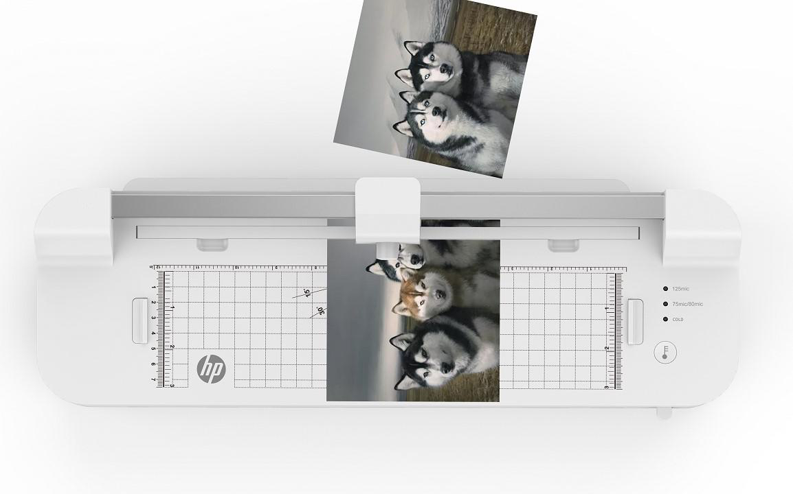 Ein Drucker druckt ein Foto von drei Huskies. Das Foto wird gerade gedruckt.