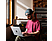 APPLE MacBook Pro (2023) M2 Pro - Notebook (16.2 ", 512 GB SSD, Space Gray)