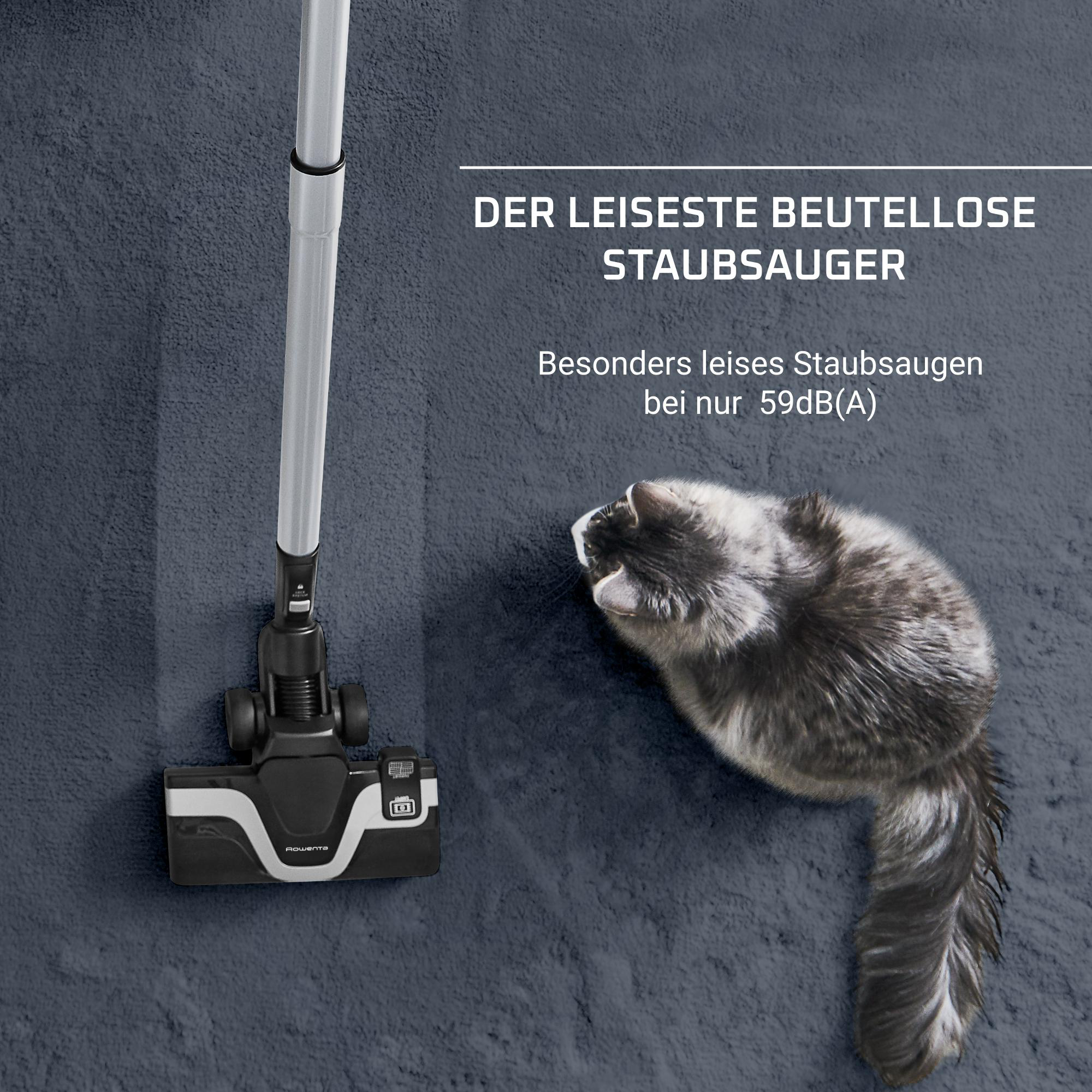 Staubsauger auf einem Teppich mit einer Katze. Text auf Deutsch über die Ruhe.