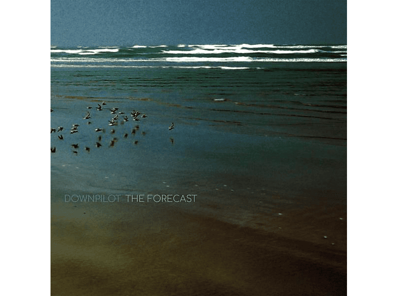 Downpilot The Forecast - - (Vinyl)