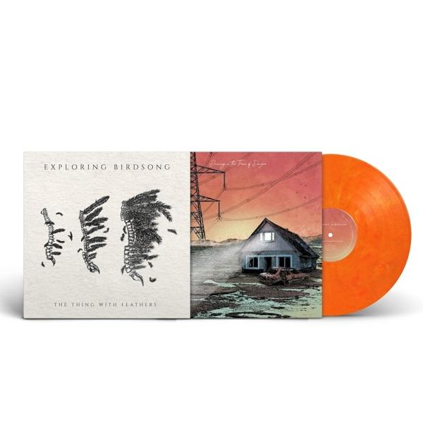Zwei Albumcover und eine orangefarbene Vinyl-Schallplatte. Die Cover zeigen Kunstwerke und Text. Die Platte liegt neben den Covern.