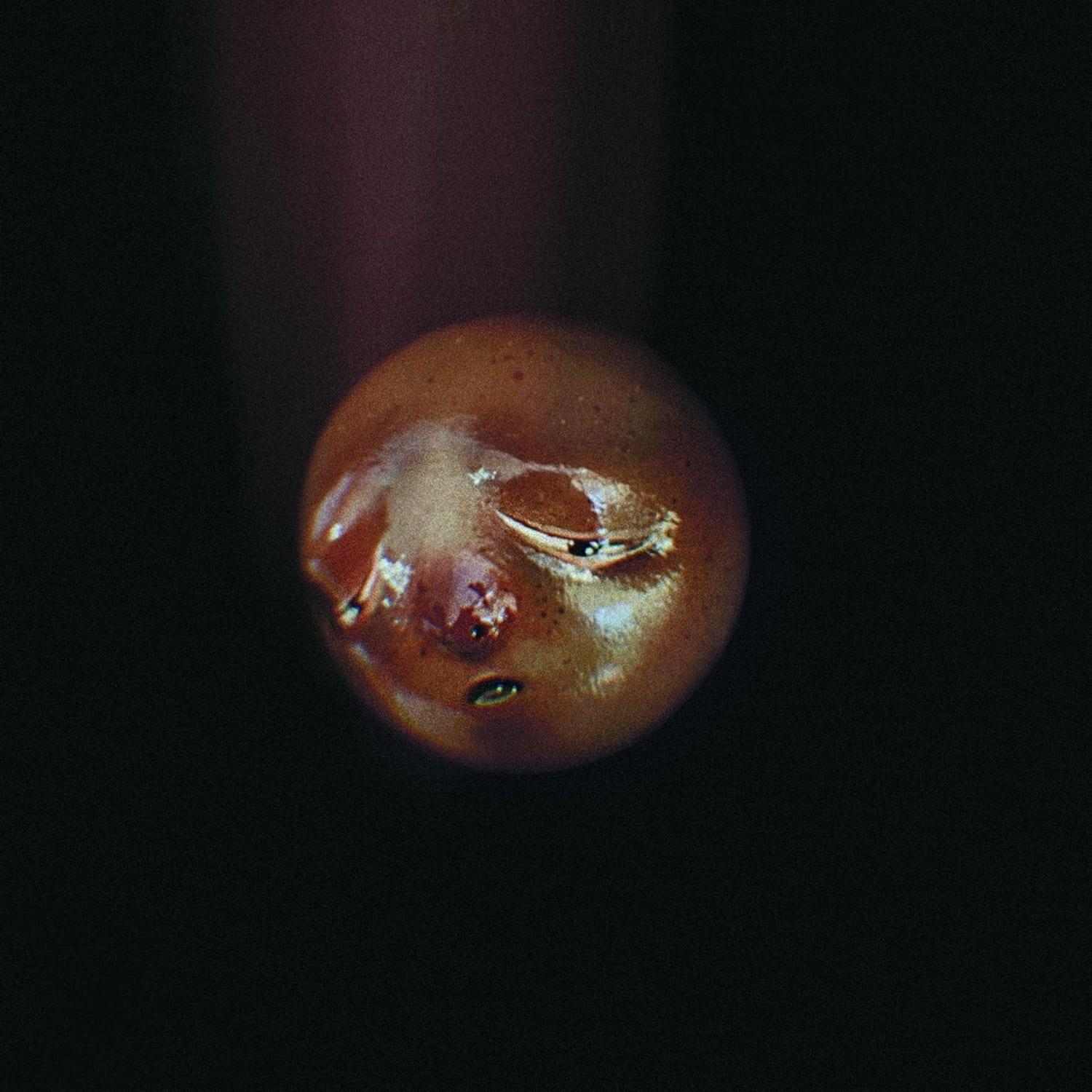 Poolblood - Mole  - (CD)