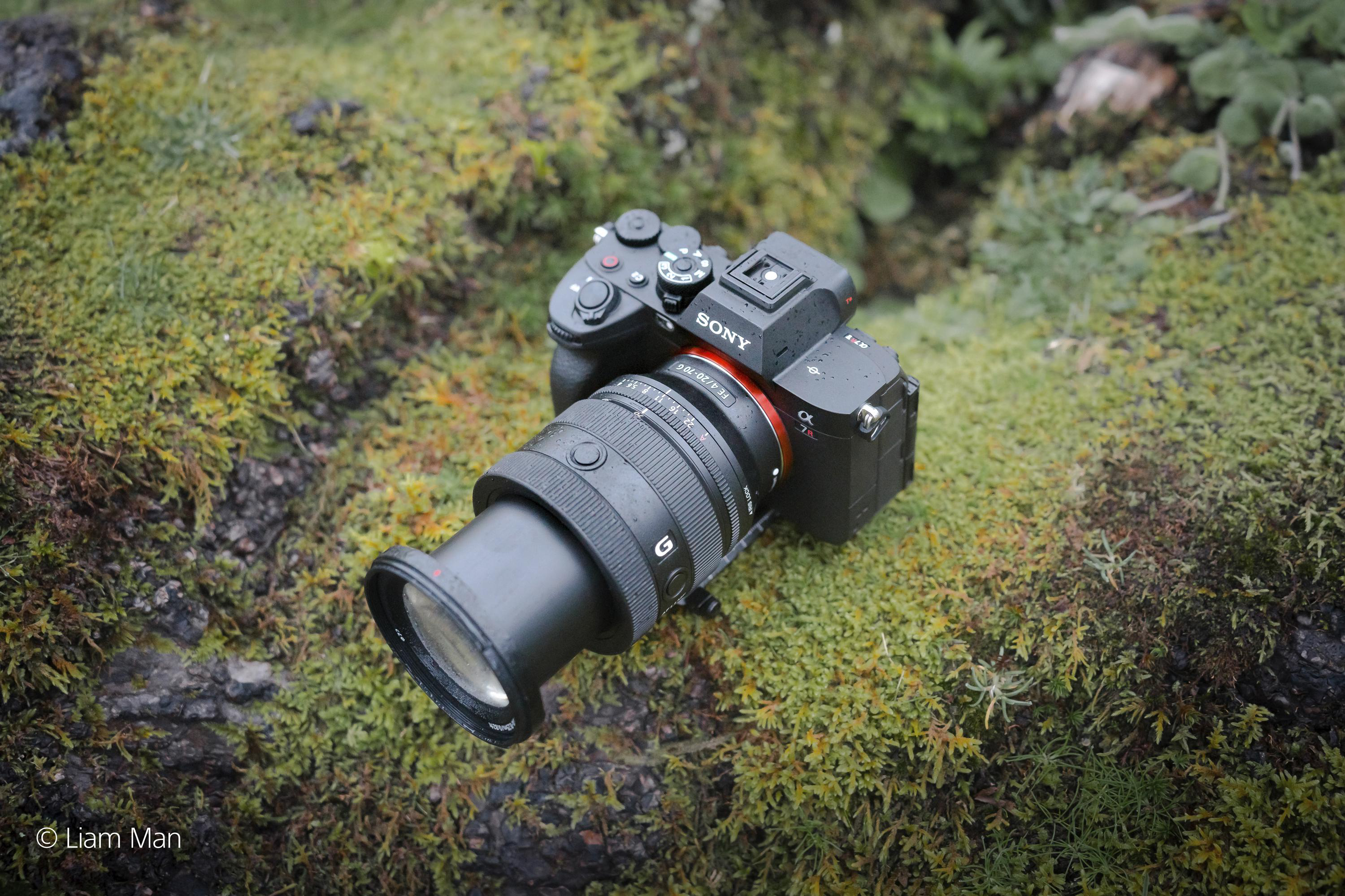 Eine schwarze Sony Kamera mit großem Objektiv liegt auf moosbedecktem Boden, von oben fotografiert.