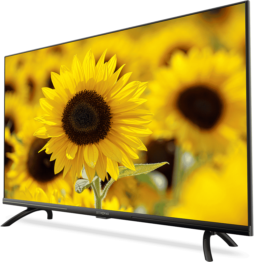 Ein Fernsehbildschirm zeigt eine Nahaufnahme von Sonnenblumen. Der Fernseher steht.