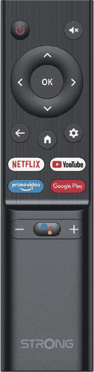 Schwarze Fernbedienung mit mehreren Tasten. Enthält Netflix, YouTube und Google Play.