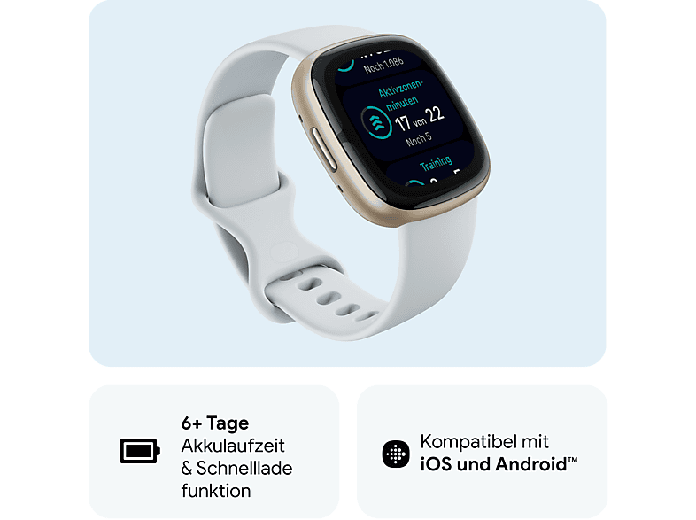 FITBIT Sense 2 Smartwatch Aluminium Elastomer, S/L, Blue Mist/Soft Gold