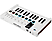 ARTURIA MiniLab 3 - Keyboard Controller MIDI/USB (Bianco)