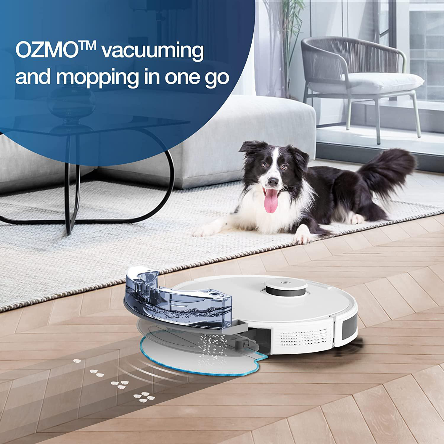 Roboter-Staubsauger, der Holzboden wischt. Ein Hund liegt auf einem Teppich. Text: Saugen und Wischen in einem Zug.