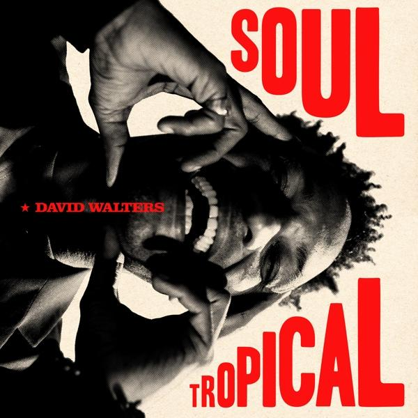 David Walters - Soul Tropical (Gatefold)  - (Vinyl)