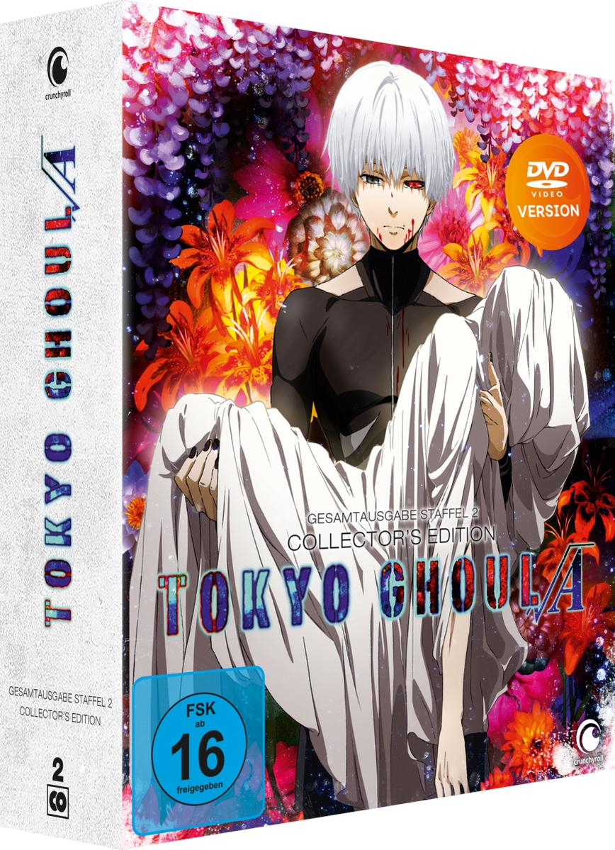 DVD-Box-Art von Tokyo Ghoul, ein Mann hält eine Person, Anime-Kunst.