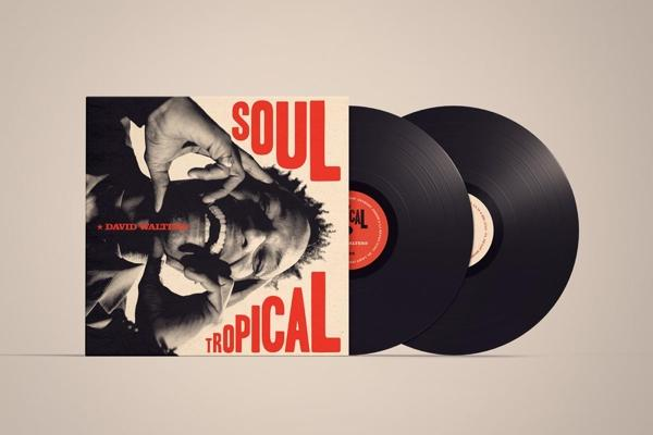 David Walters - Soul Tropical (Gatefold)  - (Vinyl)