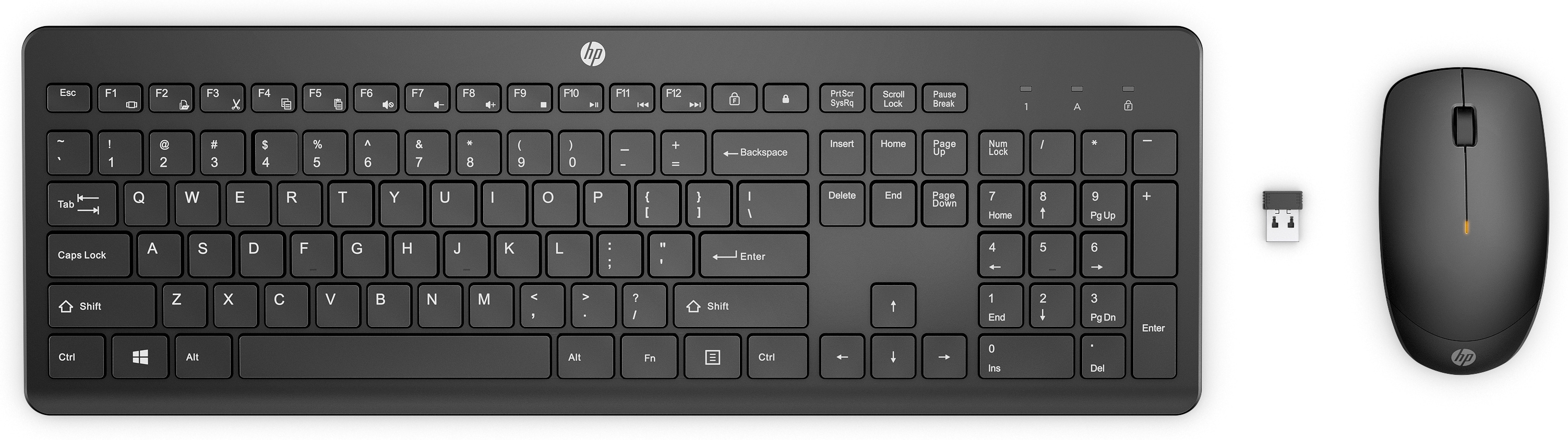 Eine schwarze Tastatur, Maus und USB-Empfänger, alles auf weißem Hintergrund.