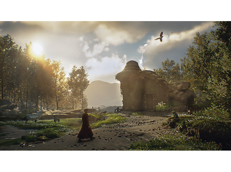 Vista 2