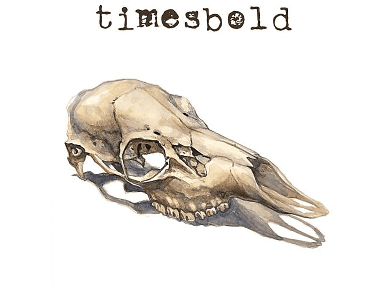 Timesbold - Not Still Here  - (Vinyl)