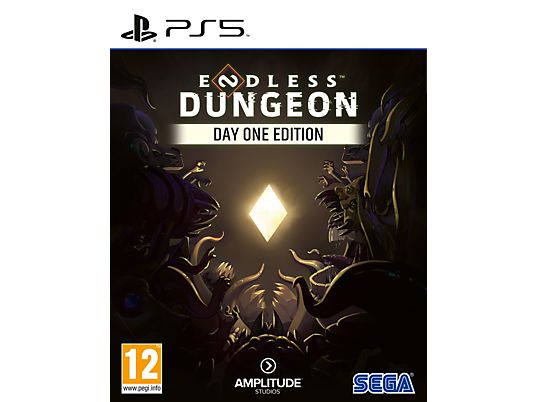 ENDLESS Dungeon : Édition Day One - PlayStation 5 - Francese