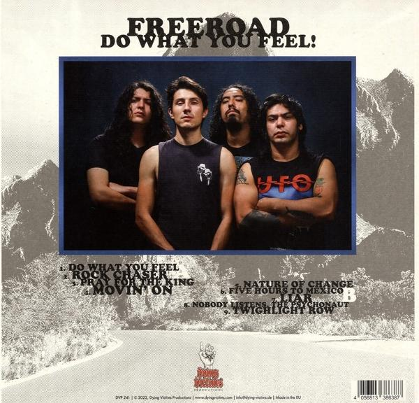 Freeroad - Do What You Feel!  - (Vinyl)