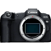 CANON EOS R8 Body Spiegellose Systemkameras  , 7,5 cm Display, WLAN
