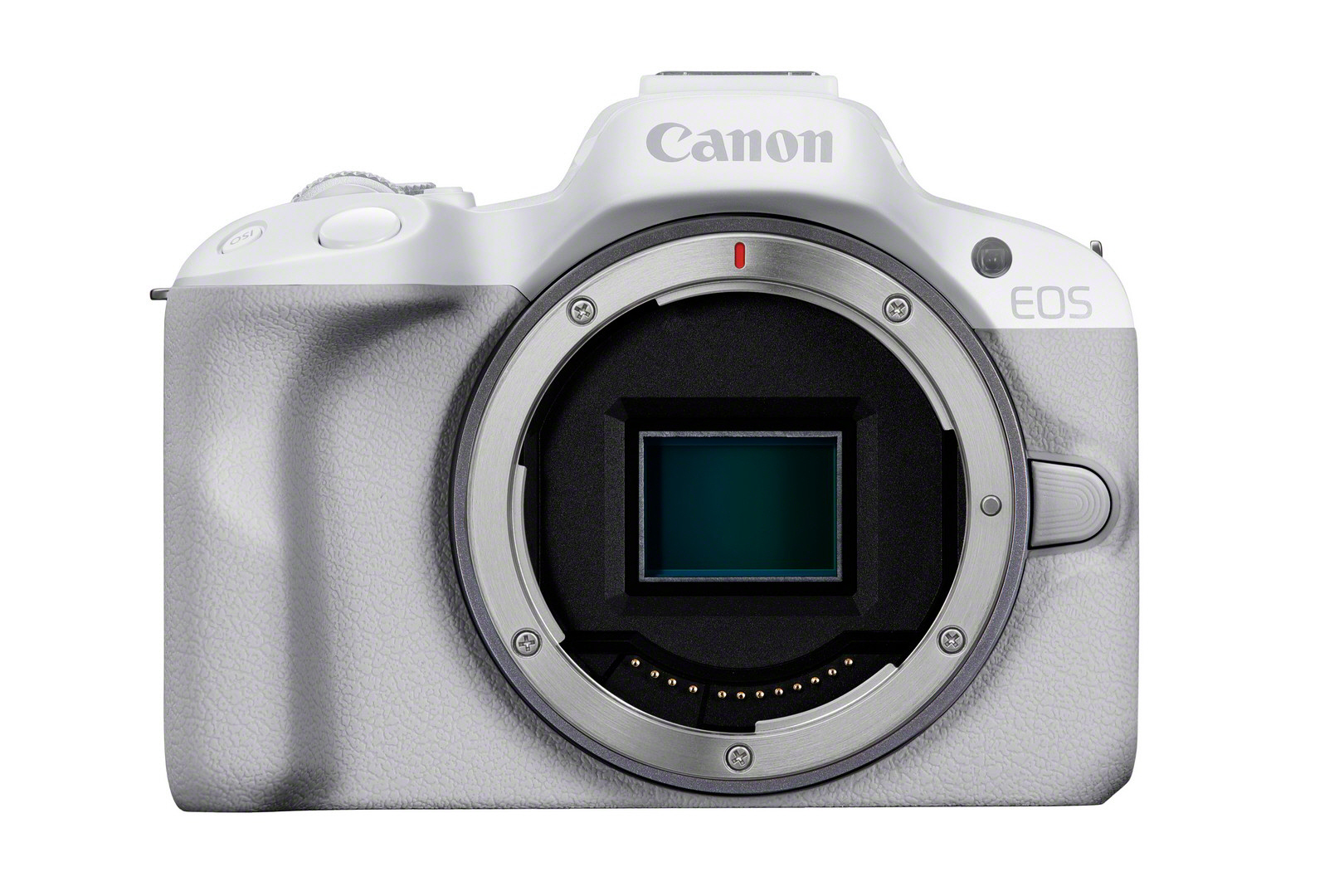 Weiße Canon EOS Kamera. Zeigt das Objektivbajonett und das Canon-Logo.