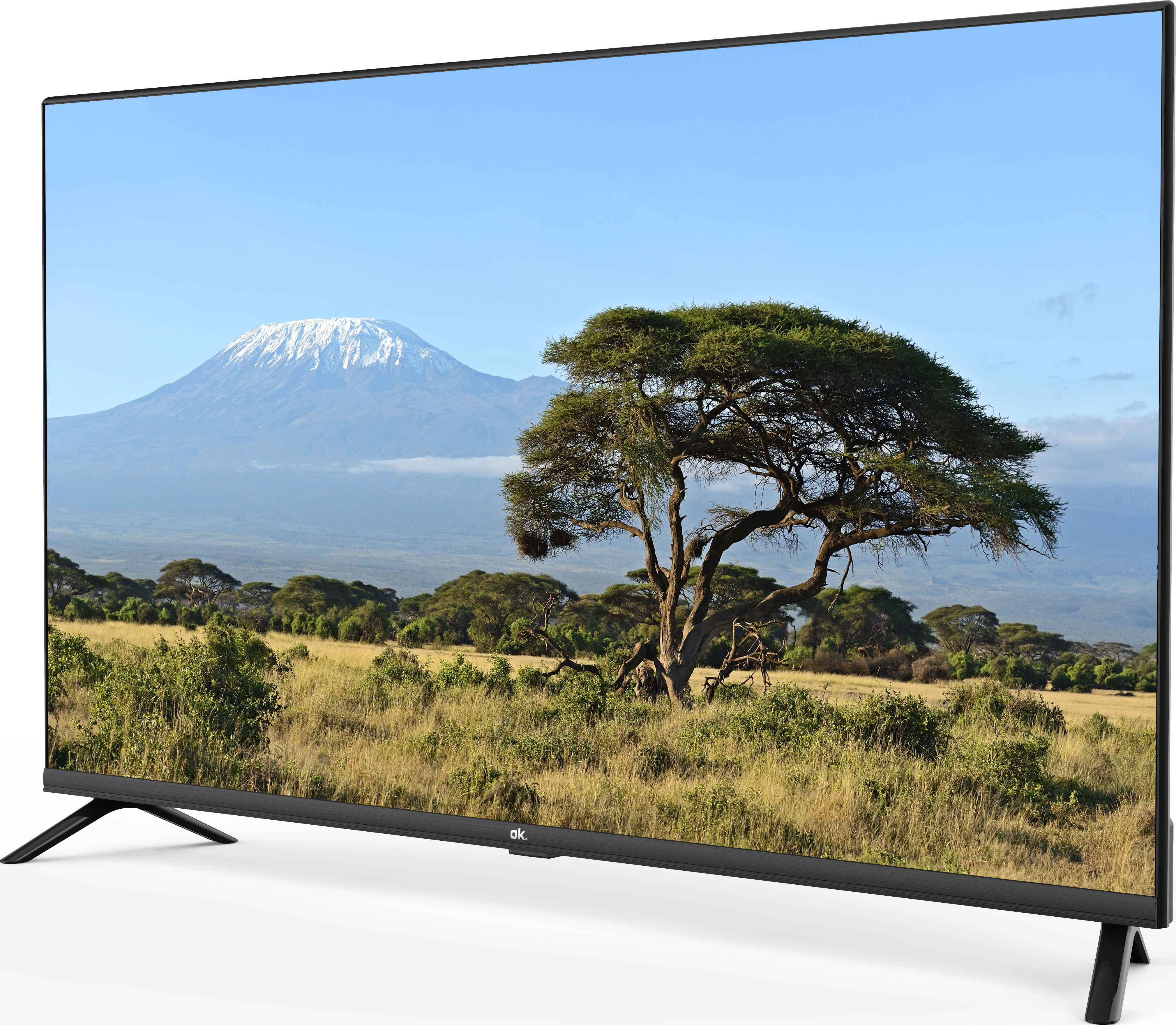 TV affichant un paysage avec montagne, arbre et savane.