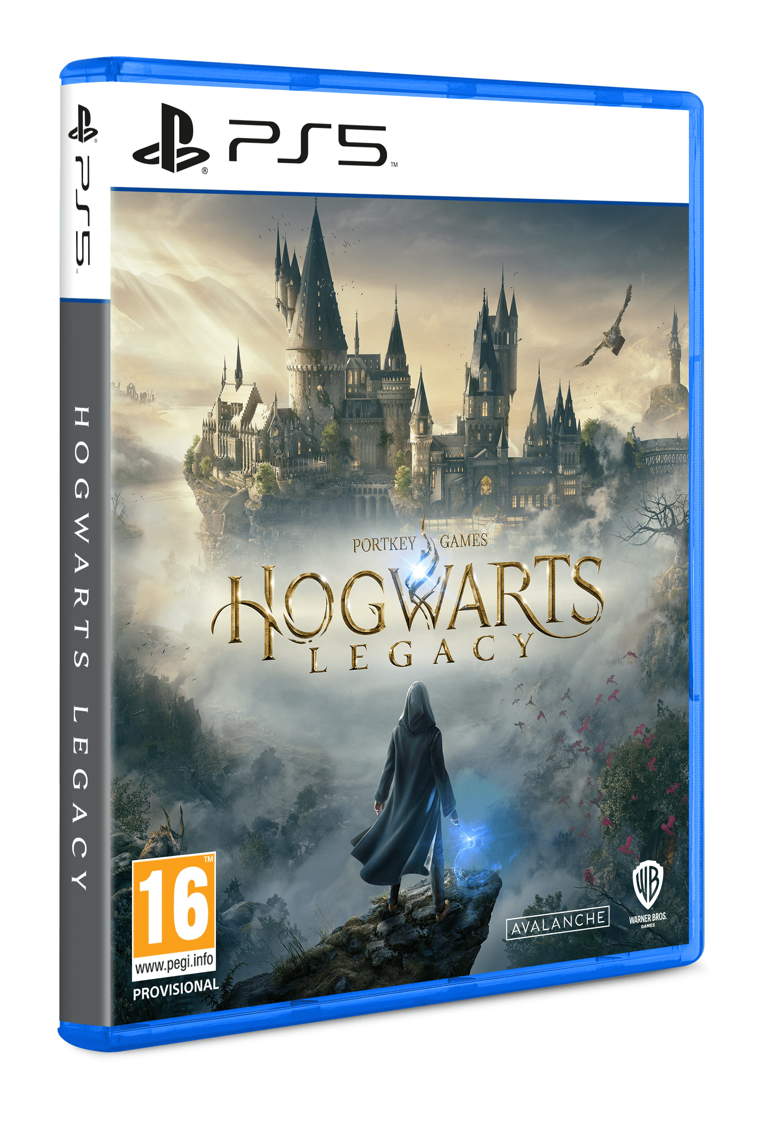 WARNER BROS Hogwarts Legacy PS5 Oyun Fiyat & Özellik | MediaMarkt