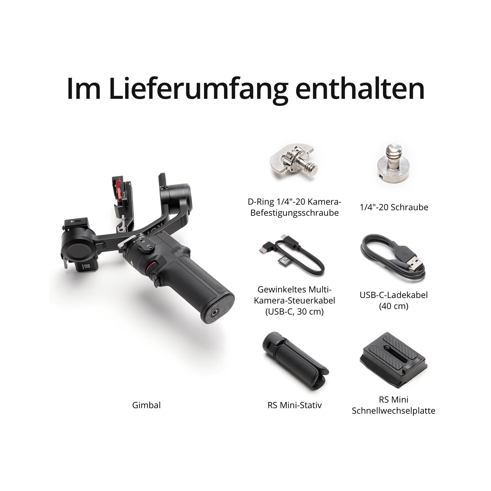 Gimbal, DJI RS Mini Schwarz 3