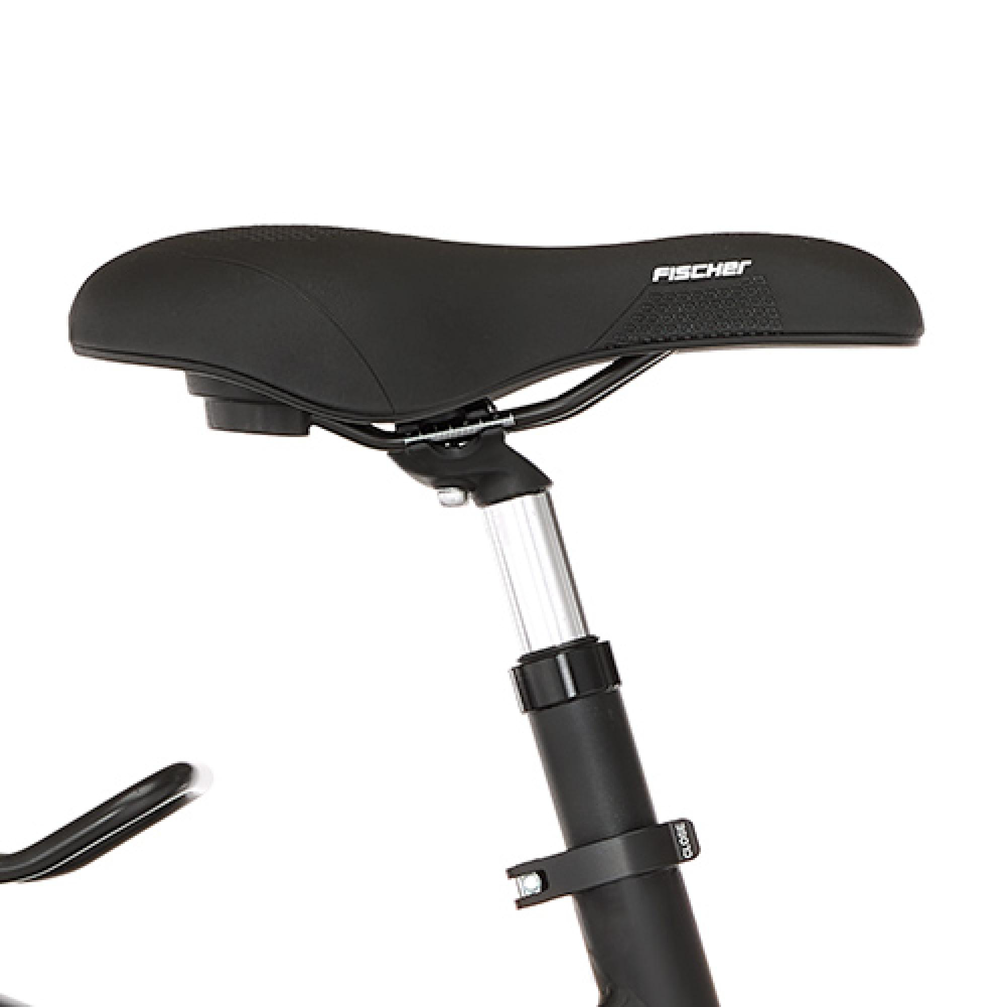 FISCHER Viator 4.2I Trekkingrad (Laufradgröße: 28 Zoll, Rahmenhöhe: 50 cm, Damen-Rad, 711 Wh, Schwarz matt)