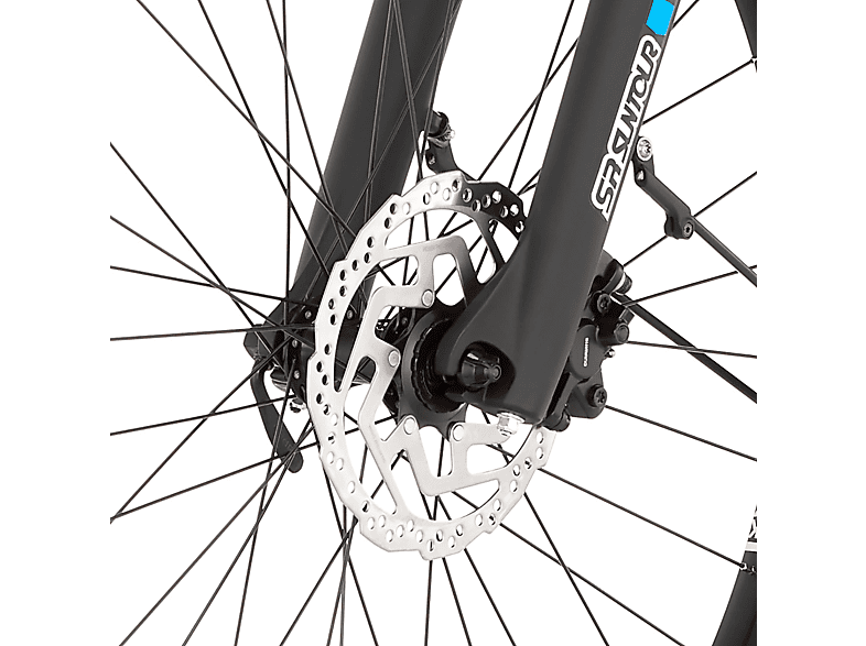 FISCHER Terra 4.0I All Terrain Bike (ATB) (Laufradgröße: 29 Zoll, Rahmenhöhe: 55 cm, Herren-Rad, 630 Wh, Greige)
