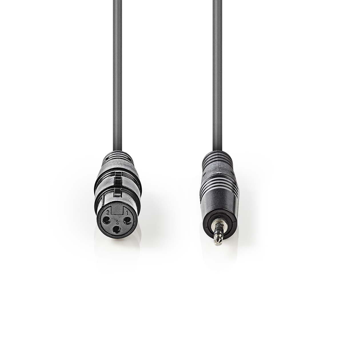 Zwei schwarze Audiokabel, eines mit XLR-Stecker, das andere mit Klinke.