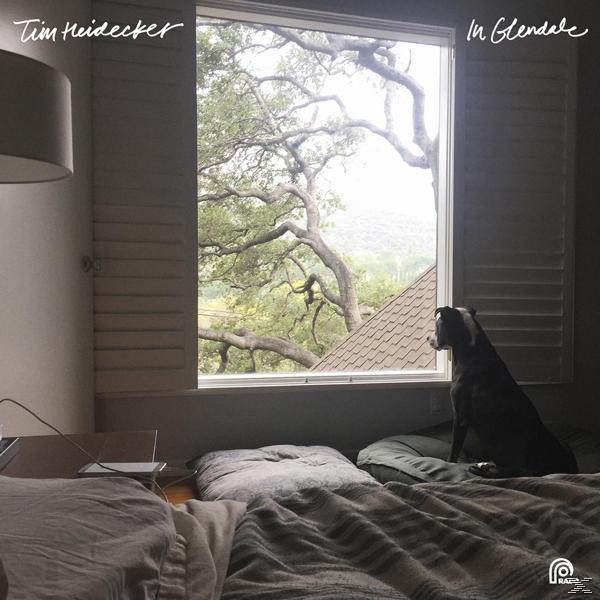 Tim Heidecker - In Glendale  - (CD)