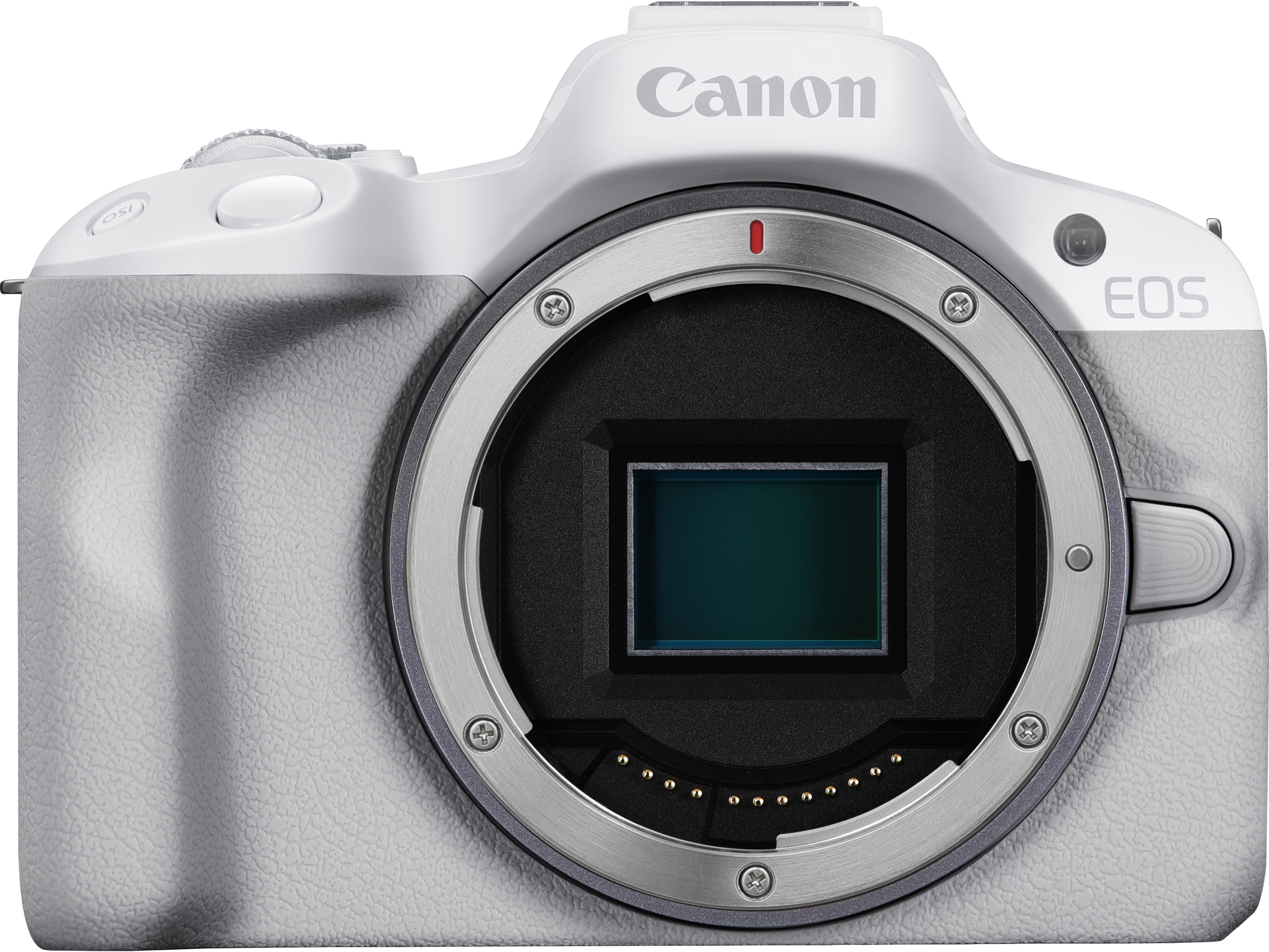 CANON EOS R50 Body + RF-S 18-45mm F4.5-6.3 IS STM Systemkamera mit