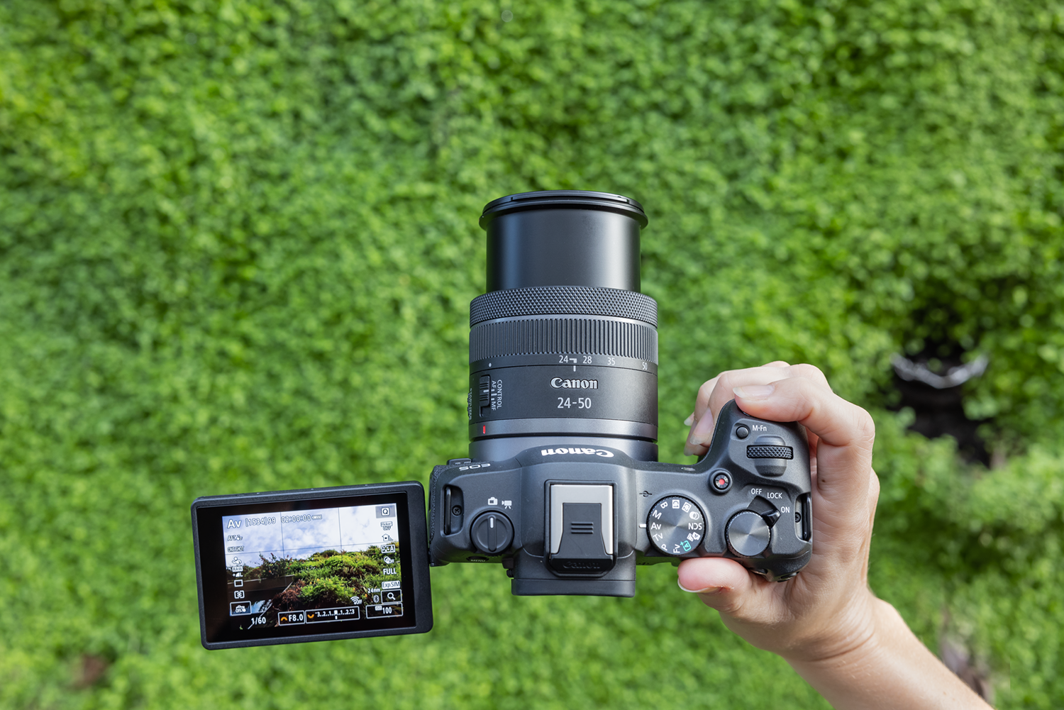 Top-down view of a Canon camera with lens and screen. Green leafy background. Hand holding the camera.
