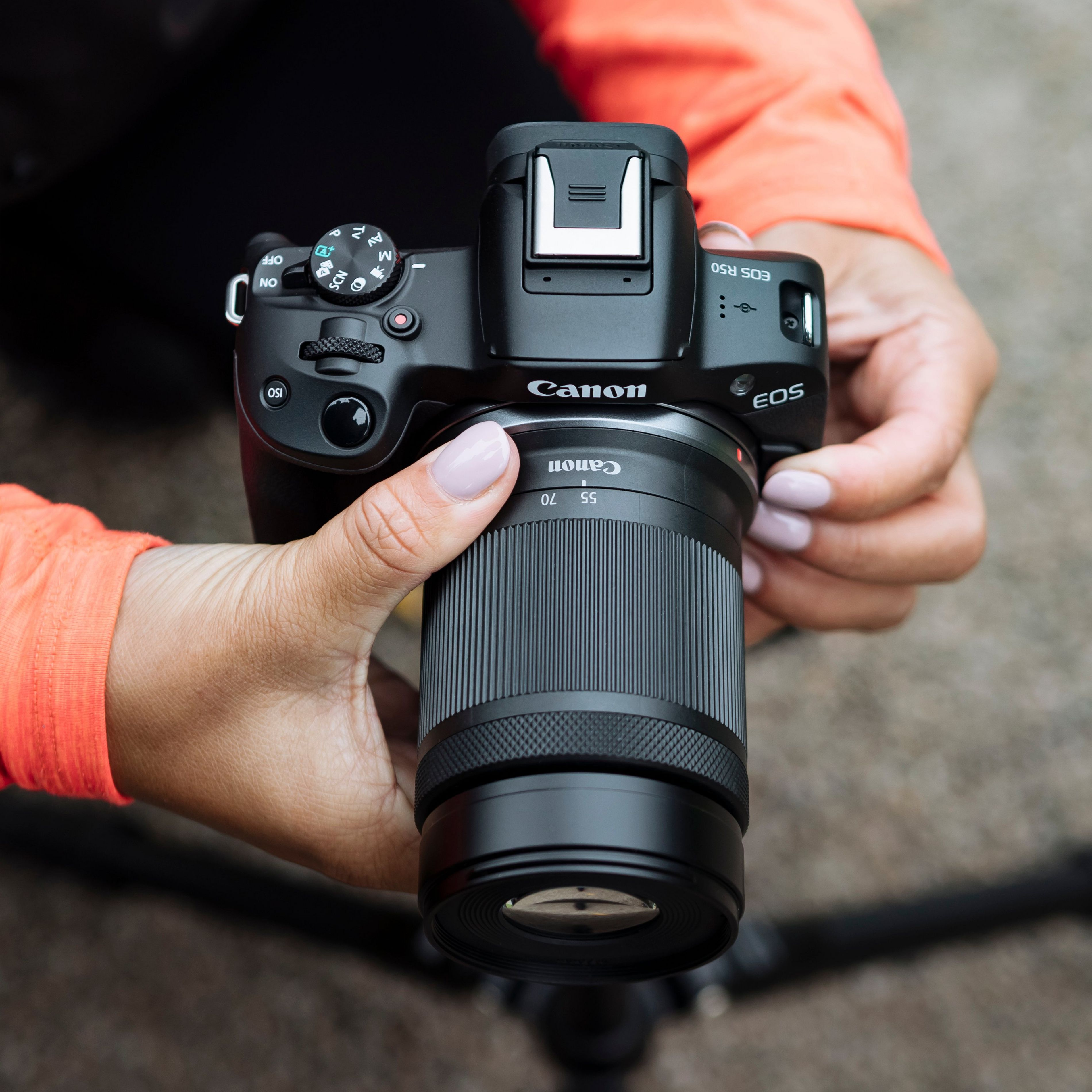 Personne tenant un appareil photo Canon EOS R50, avec un objectif, en gros plan.