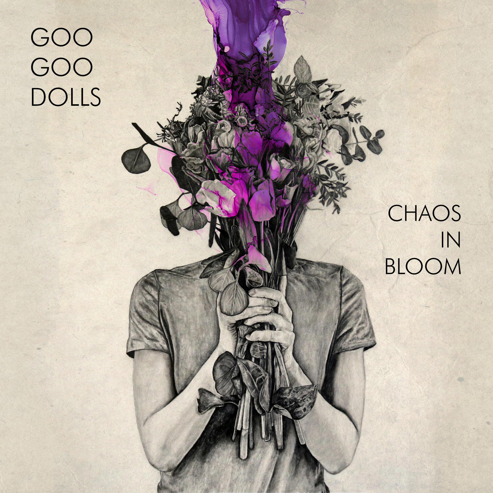 Album borító: Goo Goo Dolls - Chaos in Bloom. Virágokat tartó figura, lila festékkel.