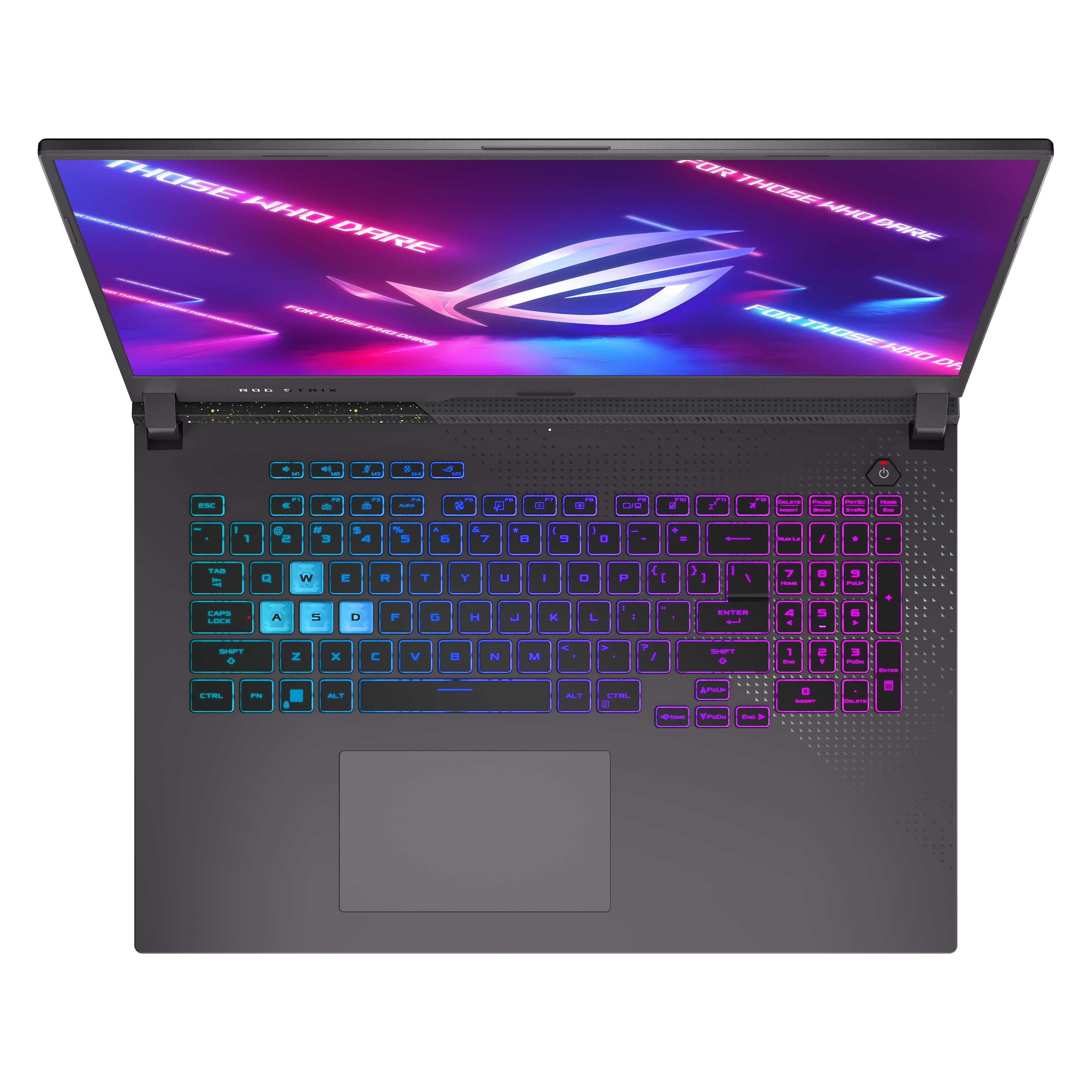 ASUS ROG Strix G17 G713PI-LL024W - 17,3 Zoll - AMD Ryzen™ 9 7945HX  - 32 GB - 2 TB - NVIDIA GeForce RTX™ 4070 - Windows 11 Home