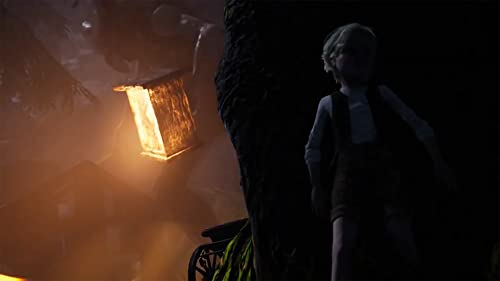 Un niño junto a un árbol con una linterna en un oscuro y borroso entorno forestal.