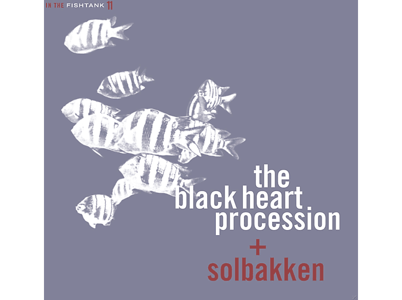 The Black Heart Procession, Solbakken In The Fishtank 11 (Vinyl