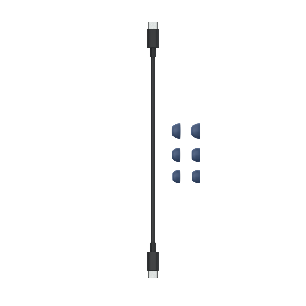 Schwarzes Ladekabel mit blauen Ohrstöpseln.