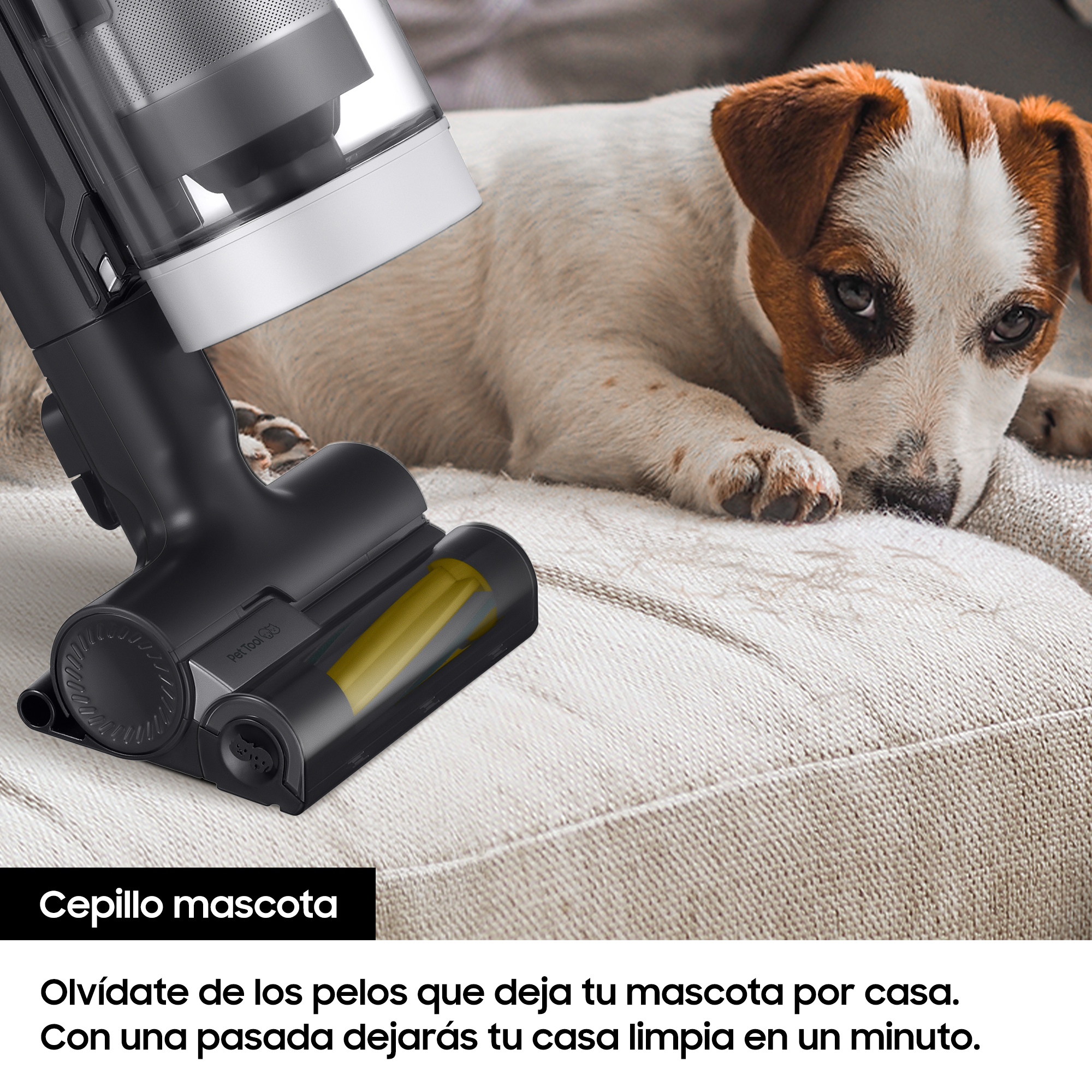 Cabezal de aspiradora negra limpiando un sofá beige. Un perro pequeño en el fondo.