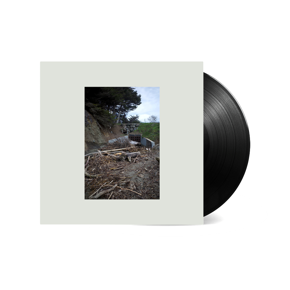 Vinyl-Schallplatte und Hülle. Die Hülle zeigt ein Landschaftsfoto, Bäume, Erde und eine kleine Struktur.