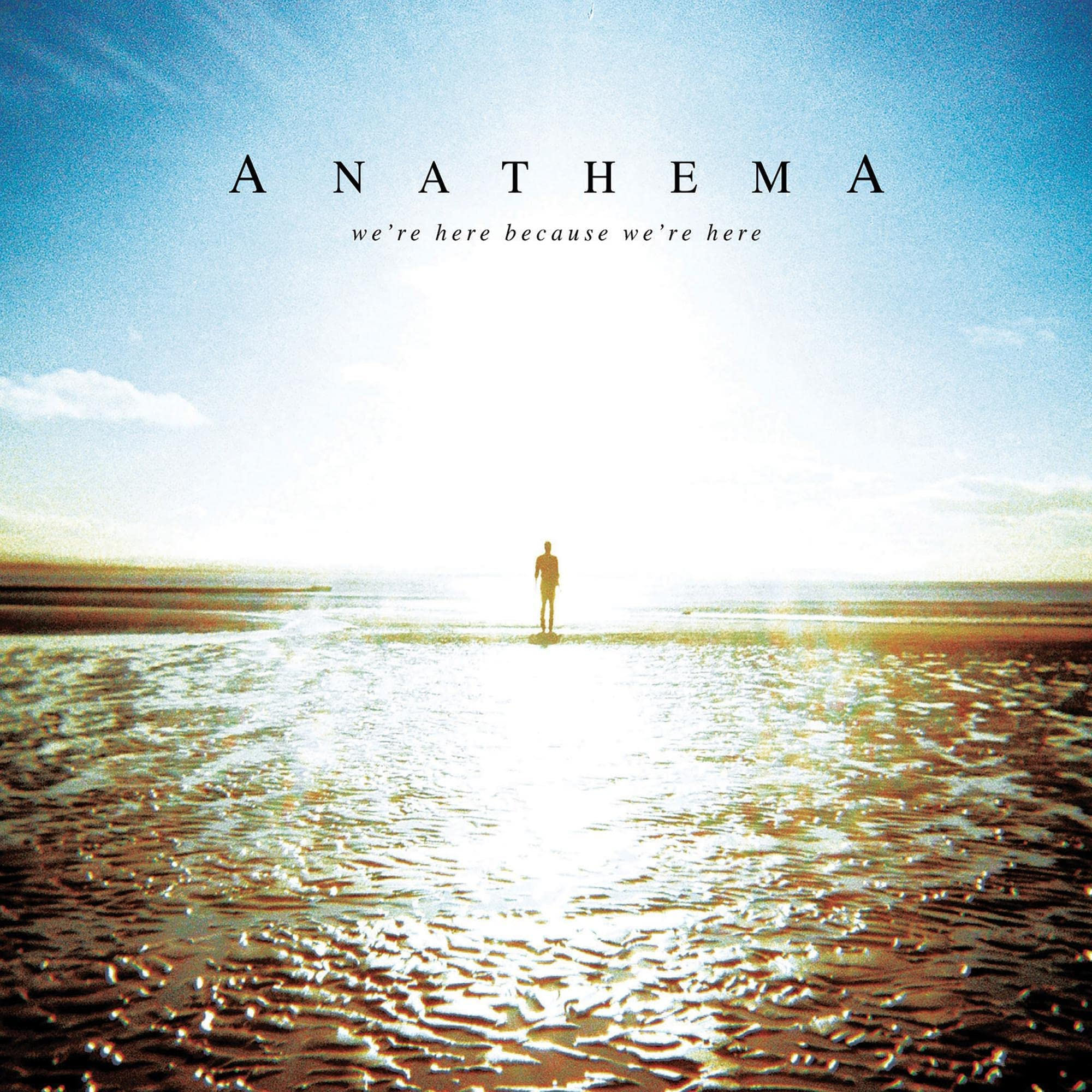 Anathema - We're Here Because (Vinyl LP (nagylemez))
