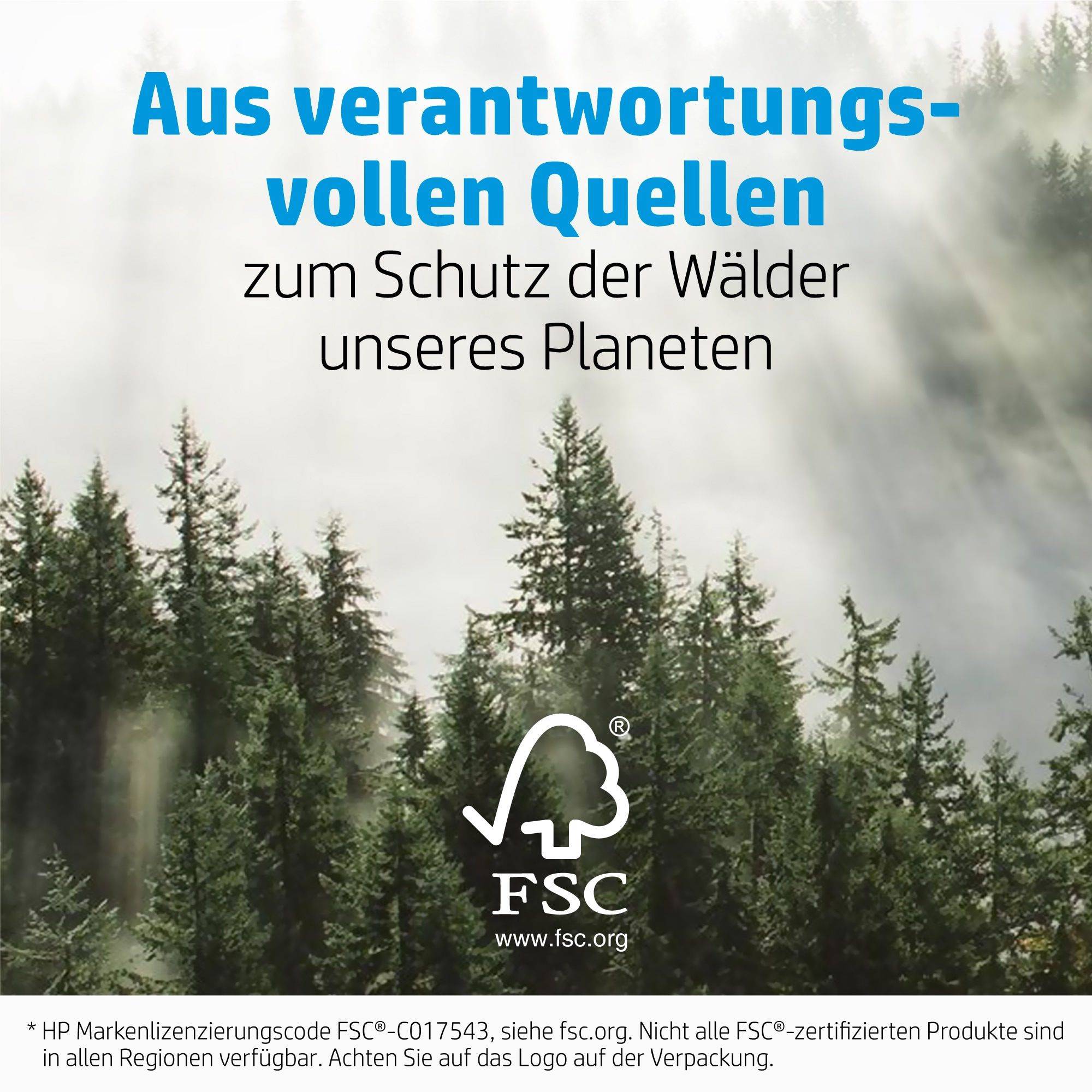 Eine Waldszene mit Text über verantwortungsvoll beschaffte Materialien und dem FSC-Logo.
