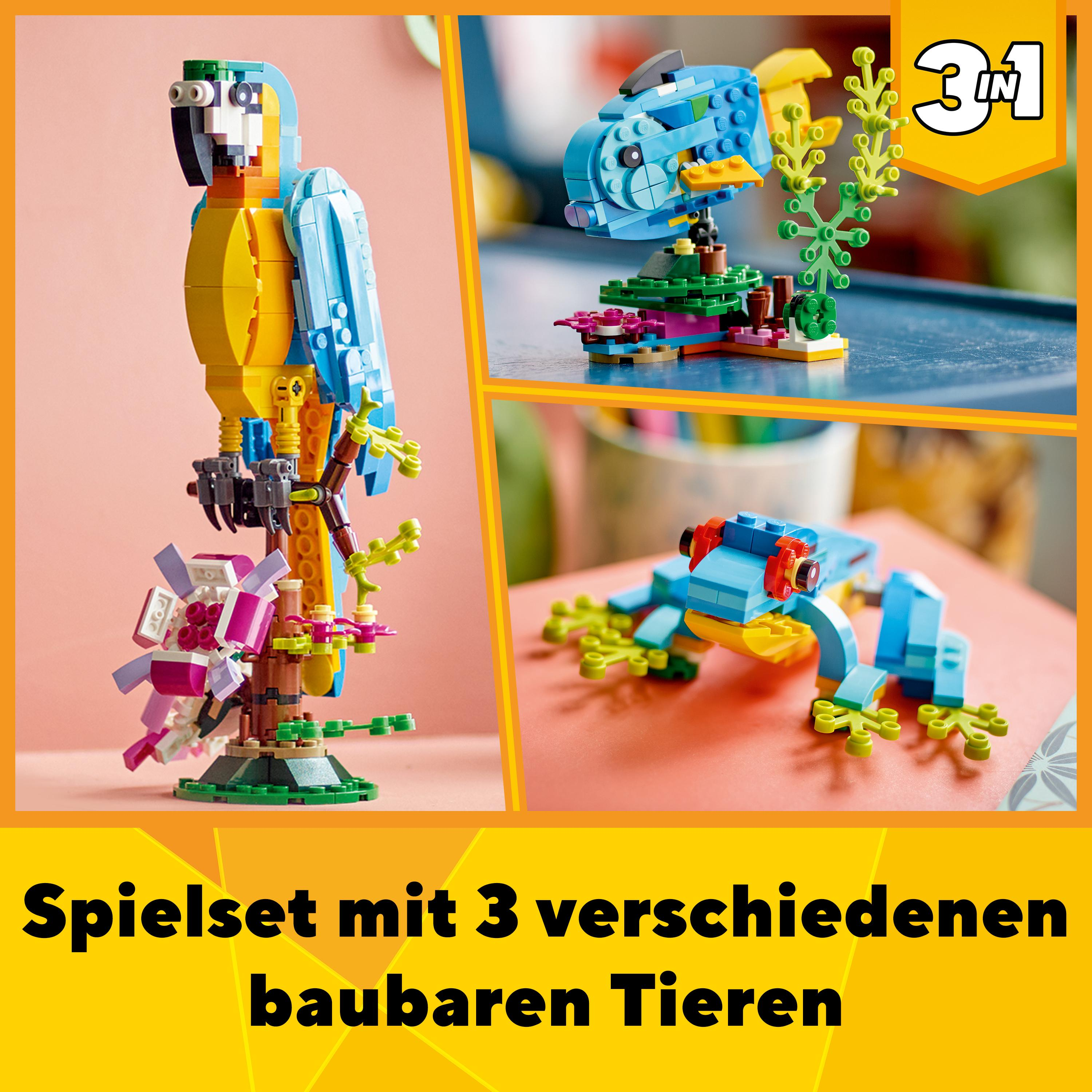 3 Lego-Tierbauten: ein Papagei, ein Fisch und ein Frosch, mit gelbem Text.