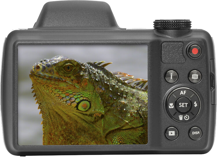 Egy digitális fényképezőgép képernyőjén egy zöld leguán közelképe látható.