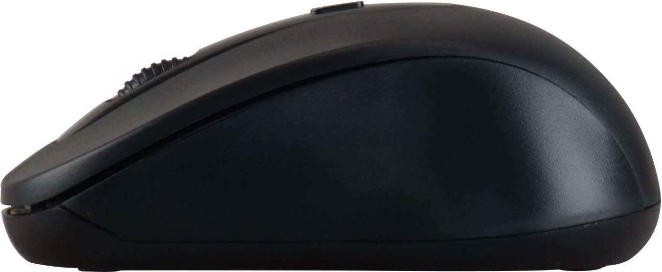 Un mouse per computer nero, vista laterale, con rotella e pulsanti visibili.