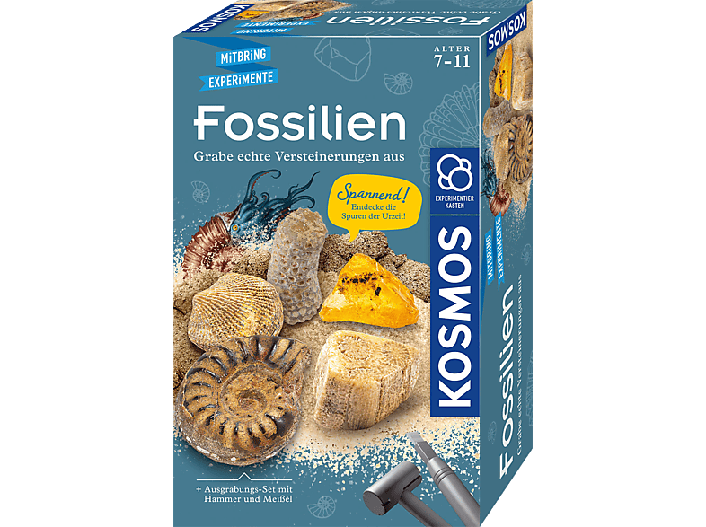 KOSMOS Fossilien Experimentierkasten, Mehrfarbig