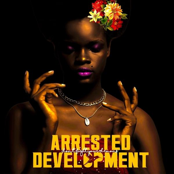 Arrested Development Arrested Development DON'T FIGHT YOUR